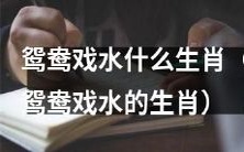 哪些生肖与鸳鸯戏水有关