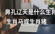 究竟是生肖马还是生肖猪?探析鼻孔辽天这一神秘的动物特征与其可能的生肖归属