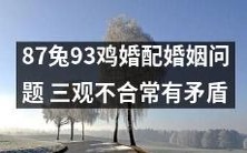 经典动物婚配:针对87只兔和93只鸡的婚姻问题,讨论其三观不合引发的常见矛盾