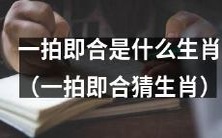 如何通过一拍即合猜出对方的生肖?