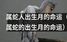 探寻属蛇人出生月所带来的吉凶祸福:揭秘属蛇出生月的命运奥秘