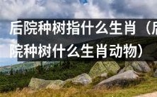种什么生肖动物的树适合种在后院中呢?