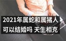 2021年生肖为蛇和猪的人是否可以顺利结婚?由于天生相克,这对婚姻是否会面临挑战?
