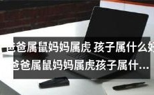 父属鼠母属虎的配对,孩子应当归属何种属相?
