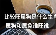 生肖排行榜中,属于哪个生肖的狗最为旺盛?以及在属狗和属兔这两个生肖之间,哪个更为旺盛呢?