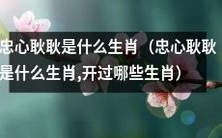 忠心耿耿是哪个生肖?开过哪些生肖都能拥有忠诚品质?