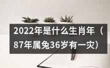 2022年哪个生肖会迎来自己的本命年?如果是1987年属兔的人,那么36岁之际是否会遇到某种困难或灾难?