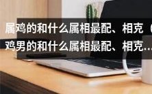 十二生肖中属鸡男的最佳配对与相克:哪些属相与属鸡最相宜、最不相容?