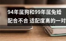 94年属狗和99年属兔的婚配是否合适:一对具有高适配度的配对