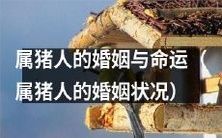 关于属猪人的婚姻:探讨命运、状况及其影响