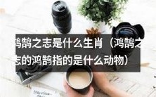 鸿鹄之志所指代的动物是哪一种生肖?