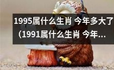 根据生肖,1995年出生的人今年属于哪个生肖?而1991年出生的人今年则属于哪种生肖?同时,这些人现在的年龄是多少?