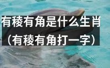 什么生肖拥有名称中带有“稜角”的特征?