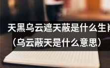 乌云密布天空,挡住太阳,那么这个生肖是什么呢?