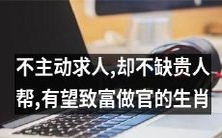 与其主动求人,毫不缺乏贵人帮助,预示着财富与官职光明前途的十二生肖