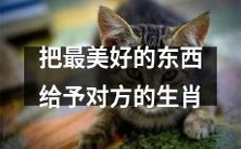 寓意深远的十二生肖:以最美好的心灵之物馈赠他人