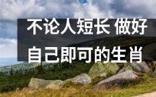 无论身材高矮,只需做好自己,成功的十二生肖