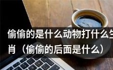 偷偷地揭秘:哪种动物最喜欢对应打哪个生肖?
