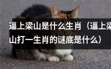 请问“逼上梁山”这个谜底是指哪个生肖呢?