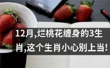 小心,这个12月被烂桃花缠身的3个生肖,必须警惕上当受骗!