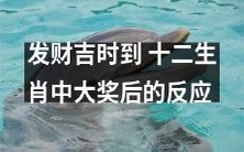探究发财吉时:十二生肖中中大奖后的心理反应和行为表现