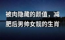 经过减肥后,揭露了被肉隐藏的颜值,让男帅女靓的生肖们大放异彩