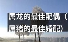 属龙、寻觅最佳婚配的秘诀:寻找属猪的终极伴侣