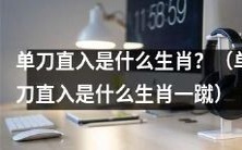 单刀直入是属于哪个生肖?