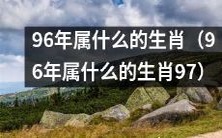 哪个生肖对应着1996年,以及它的接下来一年的生肖是什么?(What is the zodiac sign for 1996 and the following year?)