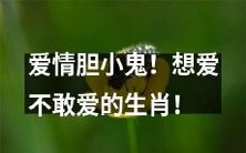 哪些生肖因胆怯而不敢坦诚地爱上一个人?