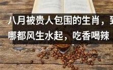 八月受贵人庇佑的生肖,无论走到哪都受人追捧,繁荣昌盛,香车美女、美食佳饮尽在握