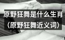 原野狂舞是何种属相?其他可代替原野狂舞的词汇有哪些?