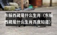什么生肖在东躲西藏时能够巧妙避过困境?(What zodiac sign can skillfully avoid obstacles when hiding in the east and west?)
