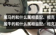 属马的与哪些属相最为相配、相冲相克?