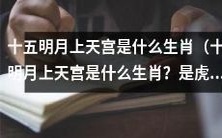 在中国的传统文化中,十五明月上天宫的生肖是什么呢?是虎吗?