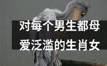 母爱溢于言表,对每位男性无不关怀备至的十二生肖女