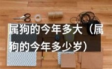 2022年属狗的人今年几岁?