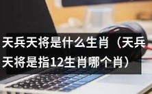 请问天兵天将属于哪一个生肖,即12生肖中的哪一个?