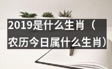 根据农历,今日属于哪个生肖?2019是哪个生肖?