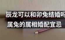 属相婚配宜忌:是否适合辰龙和卯兔结婚这一问题