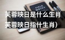 根据“芙蓉映日”所指的特征,能够判断出它代表的是哪个生肖?