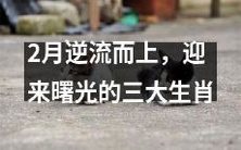 在逆境中披荆斩棘,2月脱颖而出迎来光明的三大幸运生肖