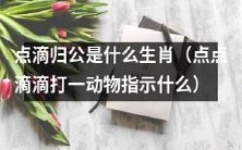 什么生肖与点滴归公有关