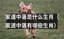 哪些生肖容易遭遇家道中落?