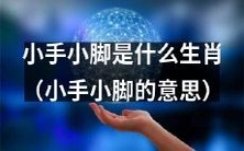 揭秘 ‘小手小脚’ 的生肖含义:那些被赋予手足形象的动物属于哪些生肖?