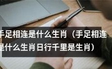 手足相连的生肖到底是哪一种?同时,日行千里的又是哪一种生肖呢?