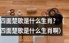 请问四面楚歌所代表的生肖是什么呢?