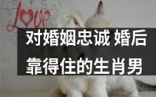 坚守婚姻承诺,值得信赖的生肖男,打造稳固幸福婚姻的关键!