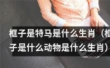 框子究竟是哪种动物并对应哪种生肖?