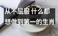 勇不屈服,渴望成为最好的生肖:探讨那些不甘平凡的动物们